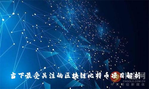 当下最受关注的区块链比特币项目解析